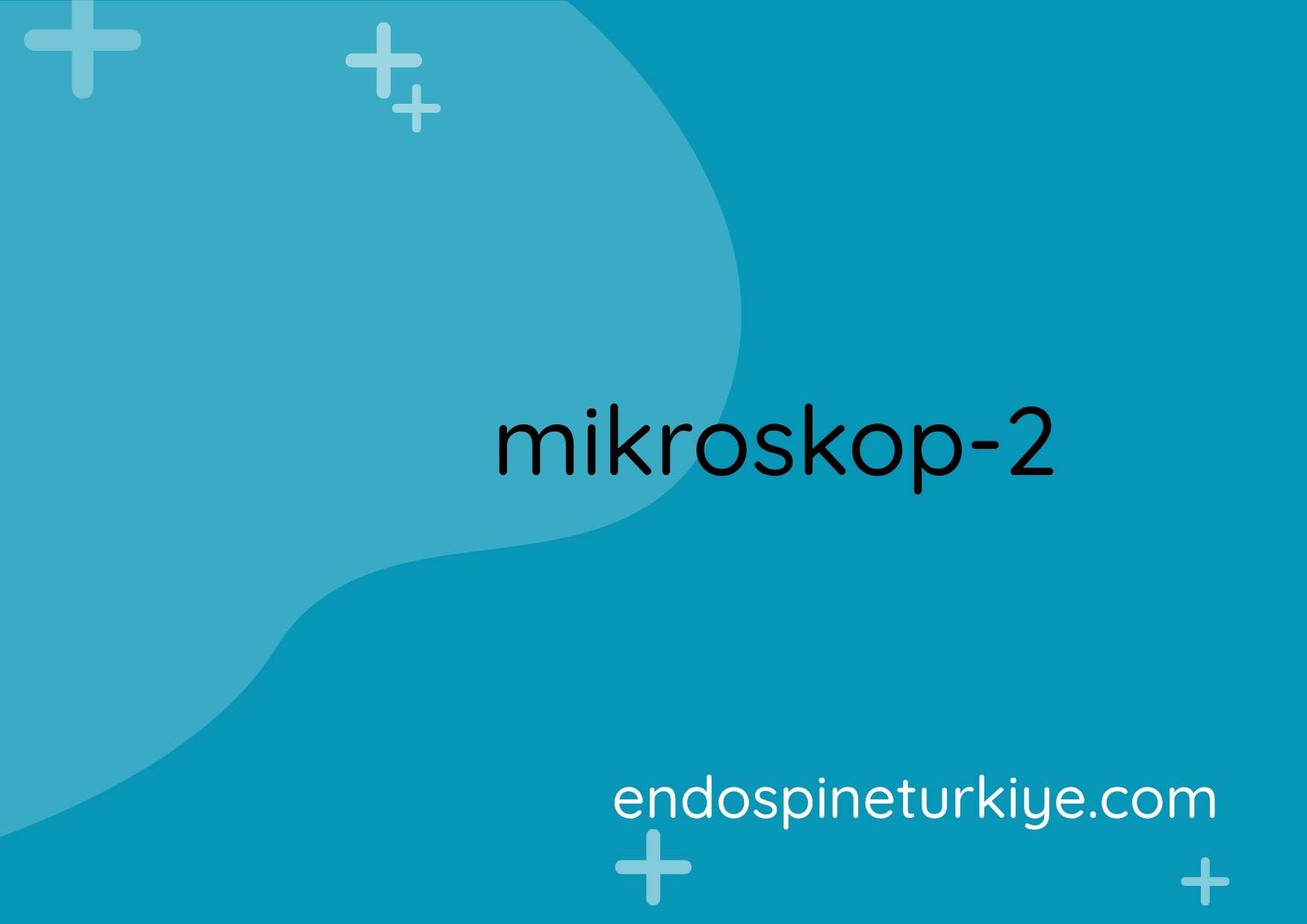 Mikrocerrahi ekipmanı - omurga cerrahisi enstrümanları